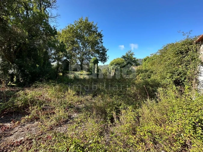 Quinta para Venda em Nogueira, Meixedo e Vilar de Murteda Foto 11