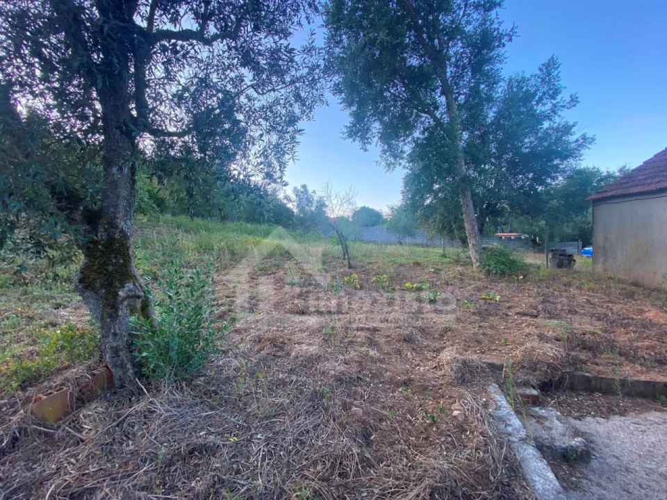 Quinta T3 para Venda em Maçãs de D. Maria Foto 13