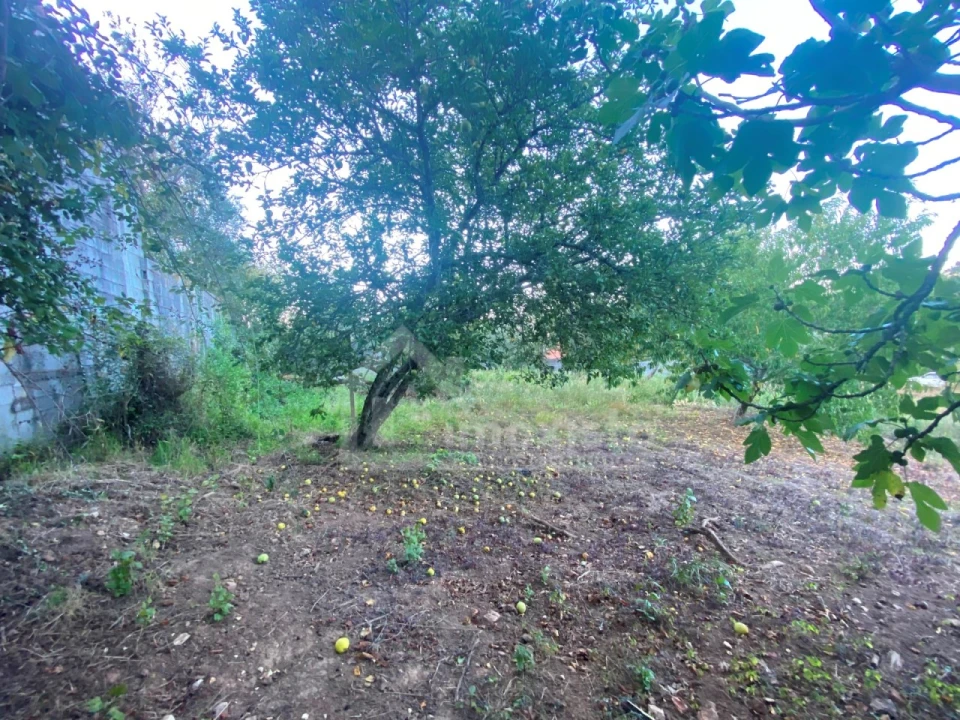 Quinta T3 para Venda em Maçãs de D. Maria Foto 15