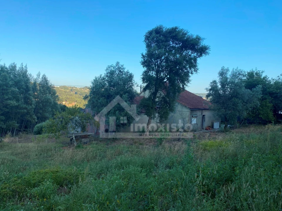 Quinta T3 para Venda em Maçãs de D. Maria Foto 18