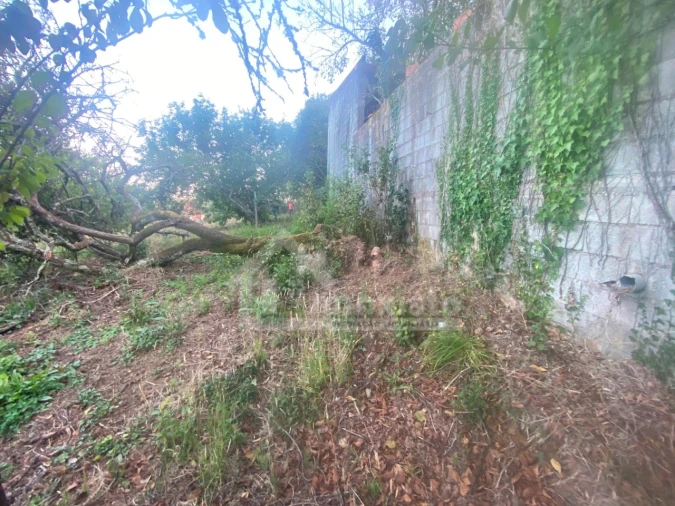 Quinta T3 para Venda em Maçãs de D. Maria Foto 17