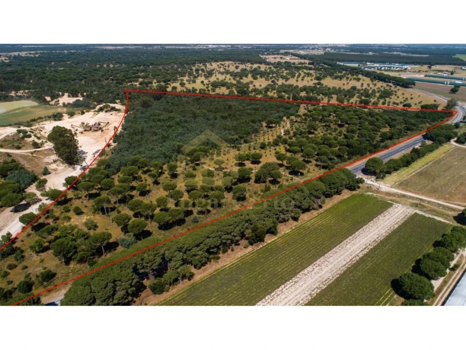 Terreno para Venda em Pegões Foto 1