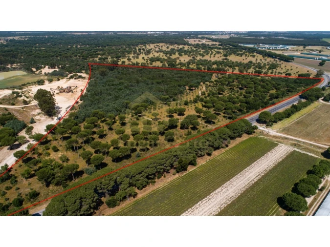 Terreno para Venda em Pegões Foto 1