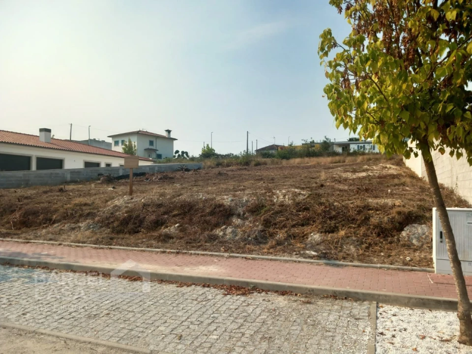 Terreno para Venda em Tamel (São Verissimo) Foto 2