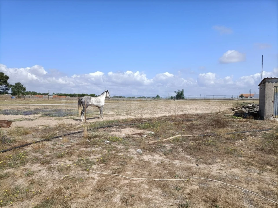 Terreno para Venda em Benavente Foto 6