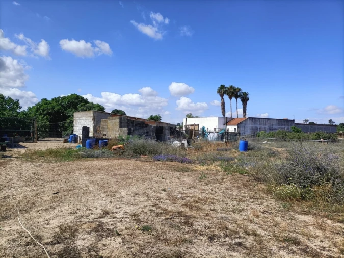 Terreno para Venda em Benavente Foto 8