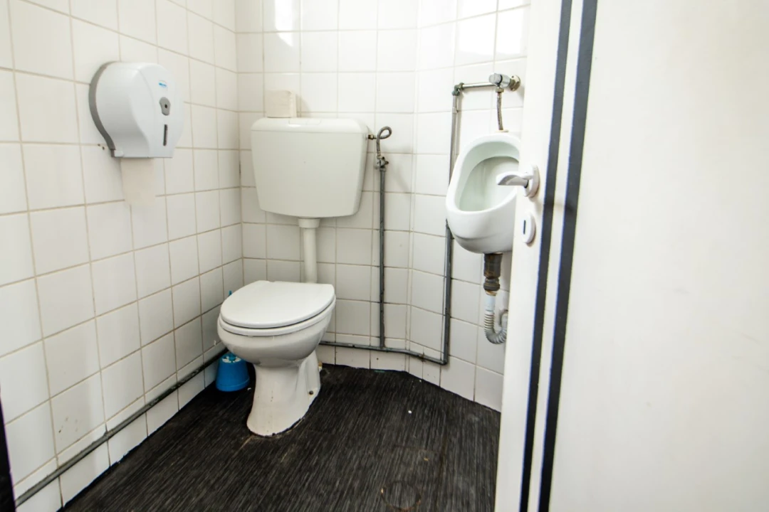 Moradia T6 para Venda em Montemor-O-Velho e Gatões Foto 13