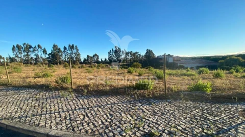 Terreno para Venda em Rio Maior