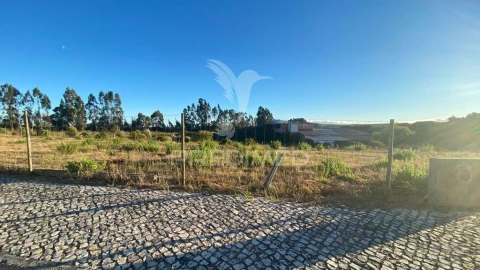 Terreno para Venda em Rio Maior