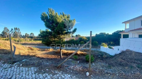 Terreno para Venda em Rio Maior