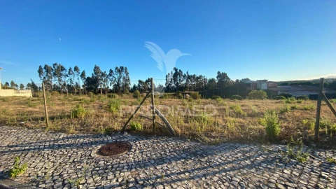 Terreno para Venda em Rio Maior