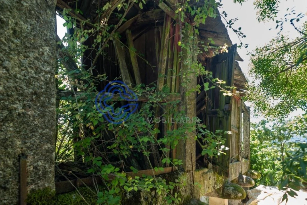 Moradia T1 para Venda em Bustelo, Carneiro e Carvalho de Rei Foto 13