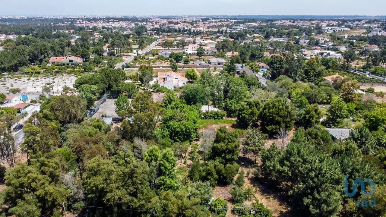 Terreno para Venda em Fernao Ferro Foto 9