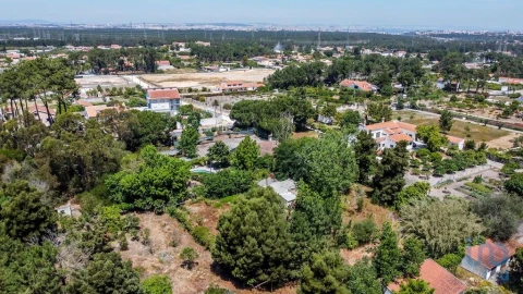Terreno para Venda em Fernao Ferro