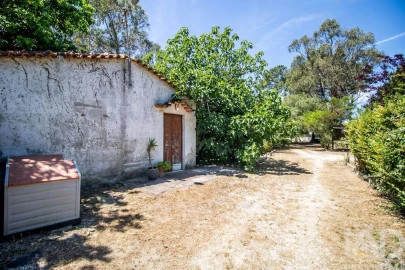 Terreno para Venda em Fernao Ferro