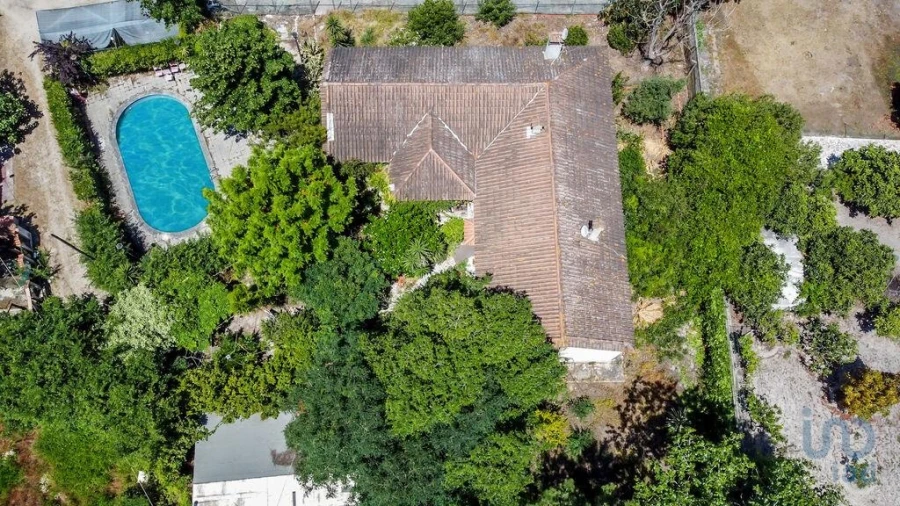 Terreno para Venda em Fernao Ferro Foto 4