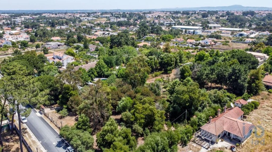 Terreno para Venda em Fernao Ferro Foto 10