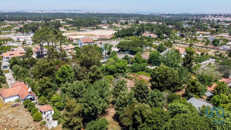 Terreno para Venda em Fernao Ferro Foto 8