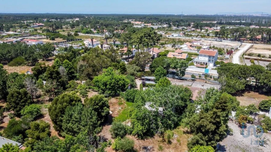 Terreno para Venda em Fernao Ferro Foto 6