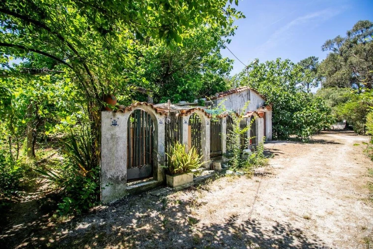 Terreno para Venda em Fernao Ferro Foto 26