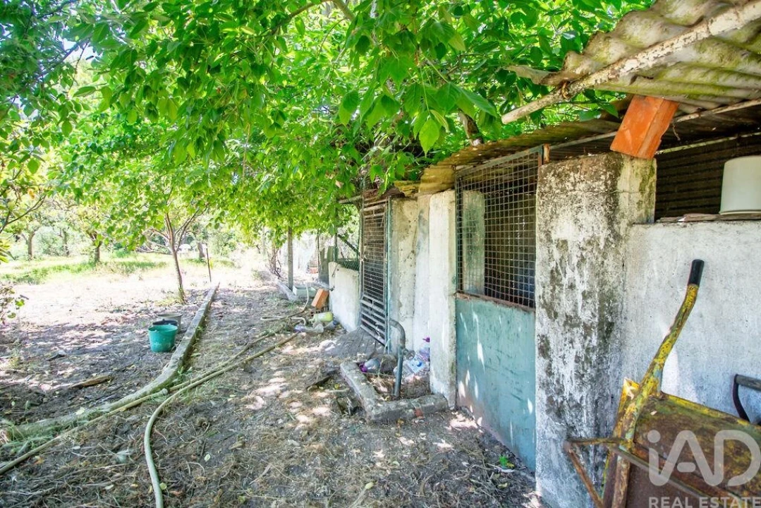 Terreno para Venda em Fernao Ferro Foto 27