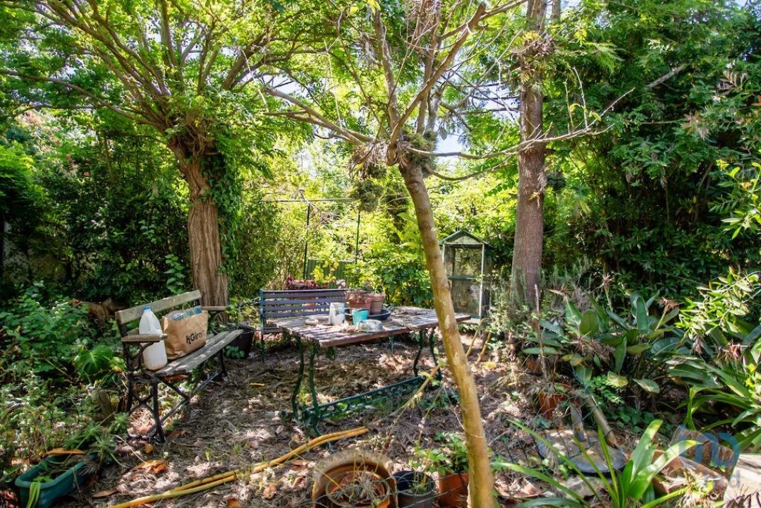 Terreno para Venda em Fernao Ferro Foto 14