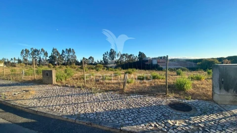 Terreno para Venda em Rio Maior