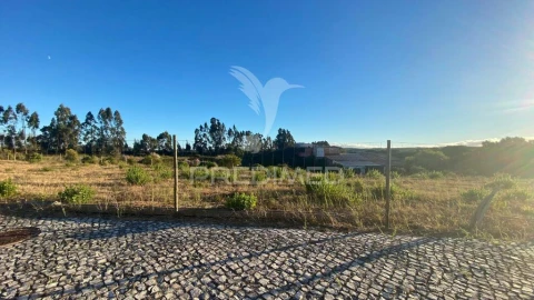 Terreno para Venda em Rio Maior