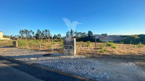 Terreno para Venda em Rio Maior