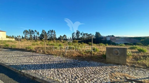 Terreno para Venda em Rio Maior