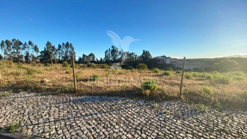 Terreno para Venda em Rio Maior