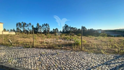 Terreno para Venda em Rio Maior