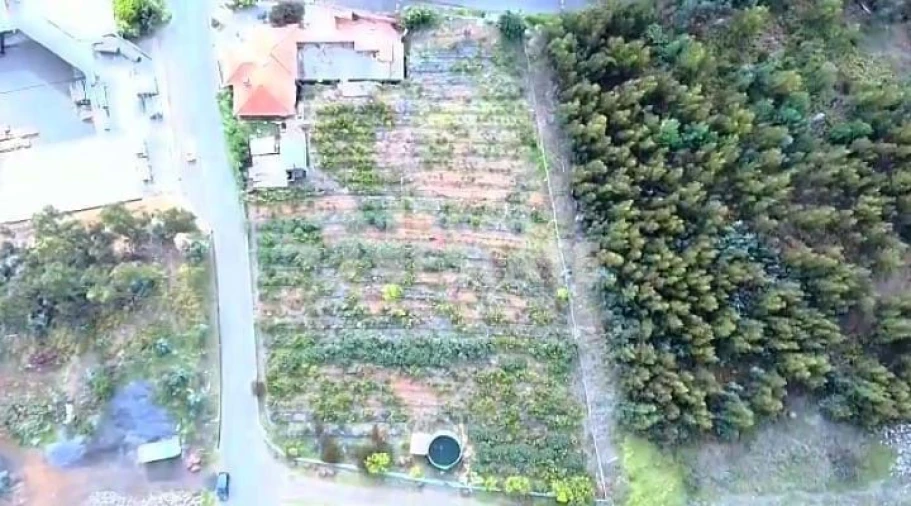 Moradia T3 para Venda em Estreito da Calheta Foto 15