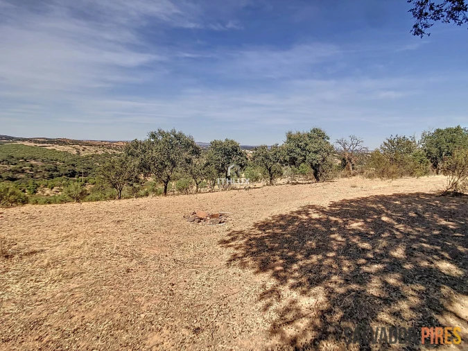 Quinta para Venda em Nossa Senhora da Conceição, São Brás dos Matos, Juromenha Foto 7