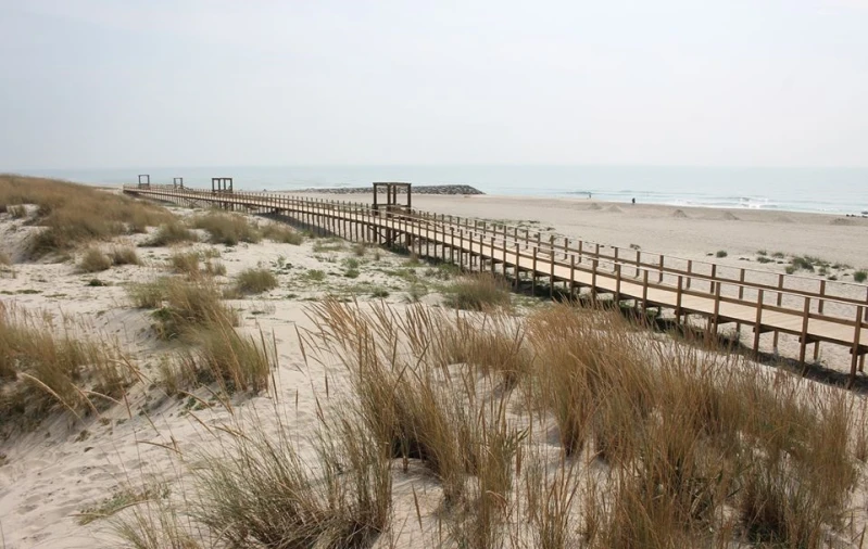 Terreno para Venda em Torreira Foto 1