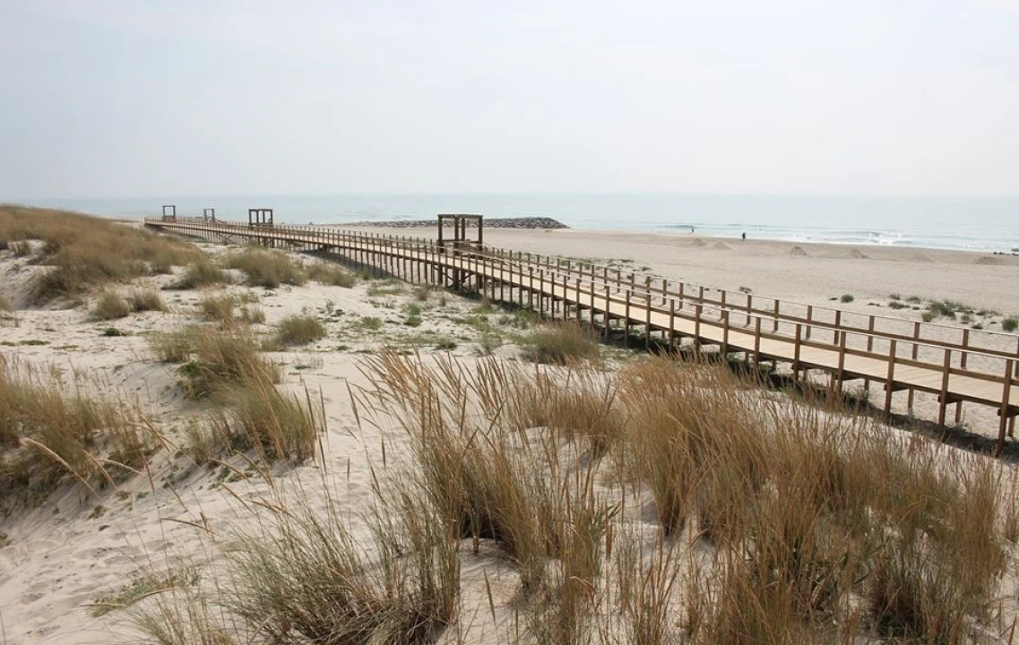 Terreno para Venda em Torreira Foto 1