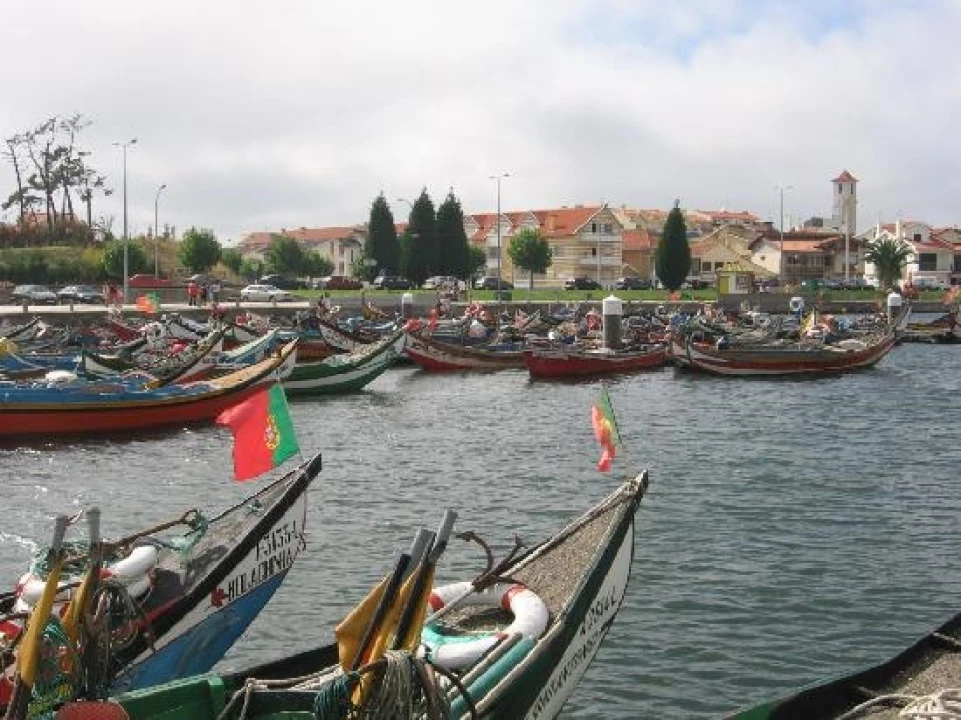 Terreno para Venda em Torreira Foto 4