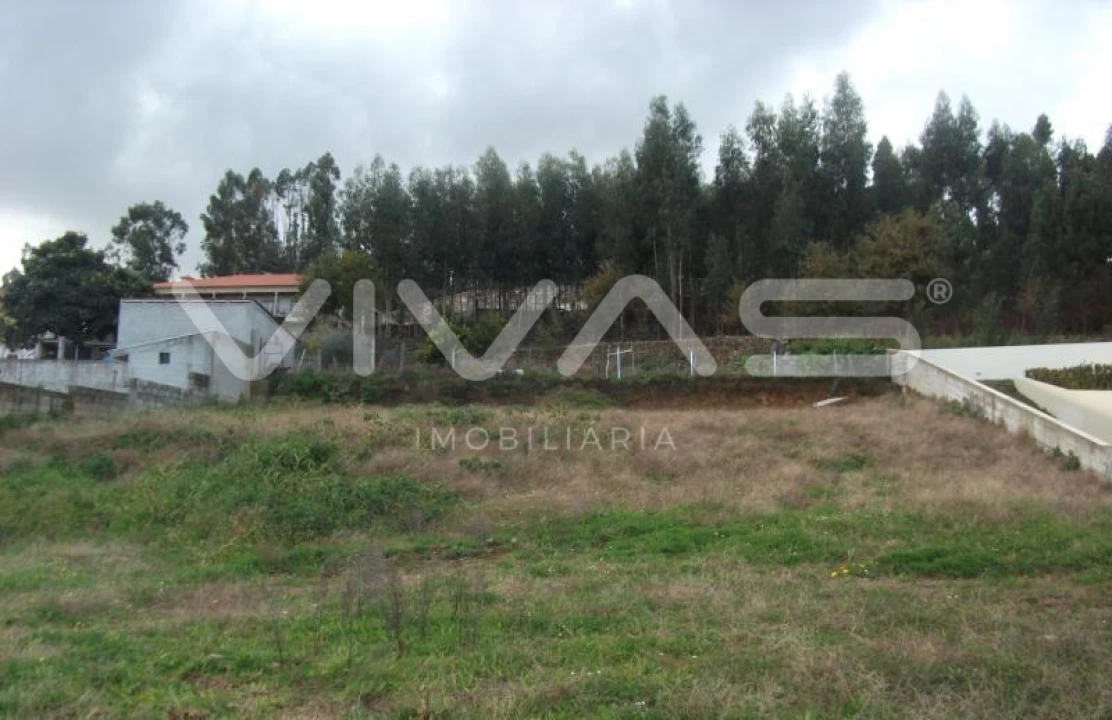 Terreno para Venda em Escariz (São Mamede) e Escariz (São Martinho) Foto 1