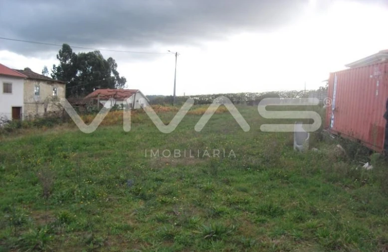 Terreno para Venda em Escariz (São Mamede) e Escariz (São Martinho) Foto 3