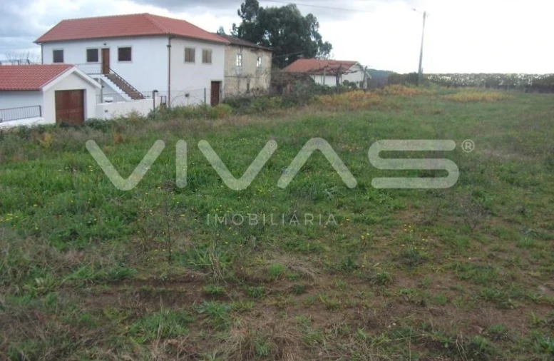 Terreno para Venda em Escariz (São Mamede) e Escariz (São Martinho) Foto 4