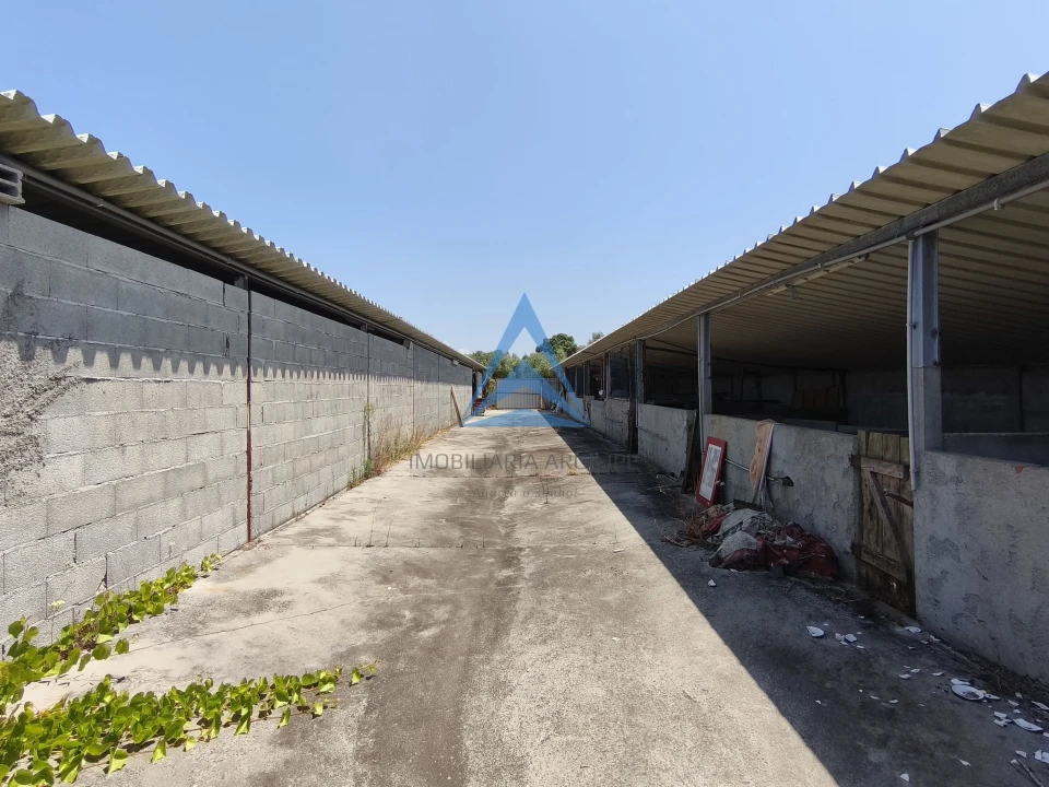 Quinta T0 para Venda em Vinha da Rainha Foto 7