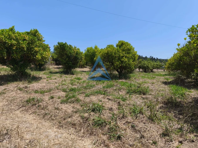 Quinta T0 para Venda em Vinha da Rainha Foto 16