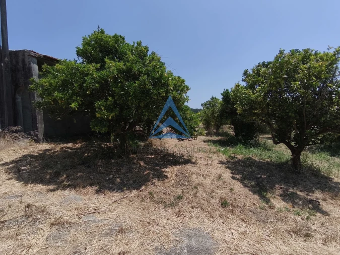 Quinta T0 para Venda em Vinha da Rainha Foto 18