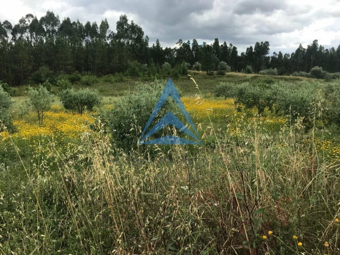 Quinta T0 para Venda em Vinha da Rainha Foto 9