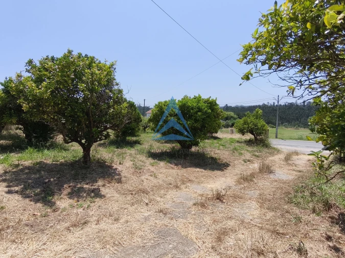 Quinta T0 para Venda em Vinha da Rainha Foto 17