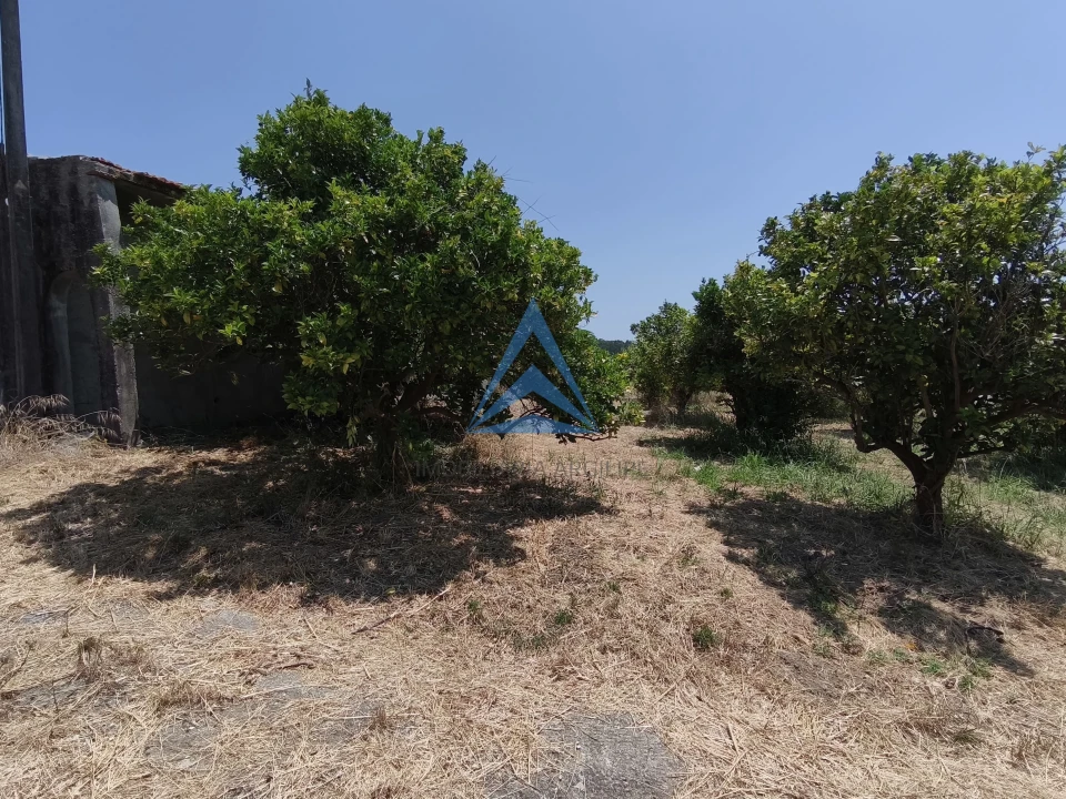 Quinta T0 para Venda em Vinha da Rainha Foto 18