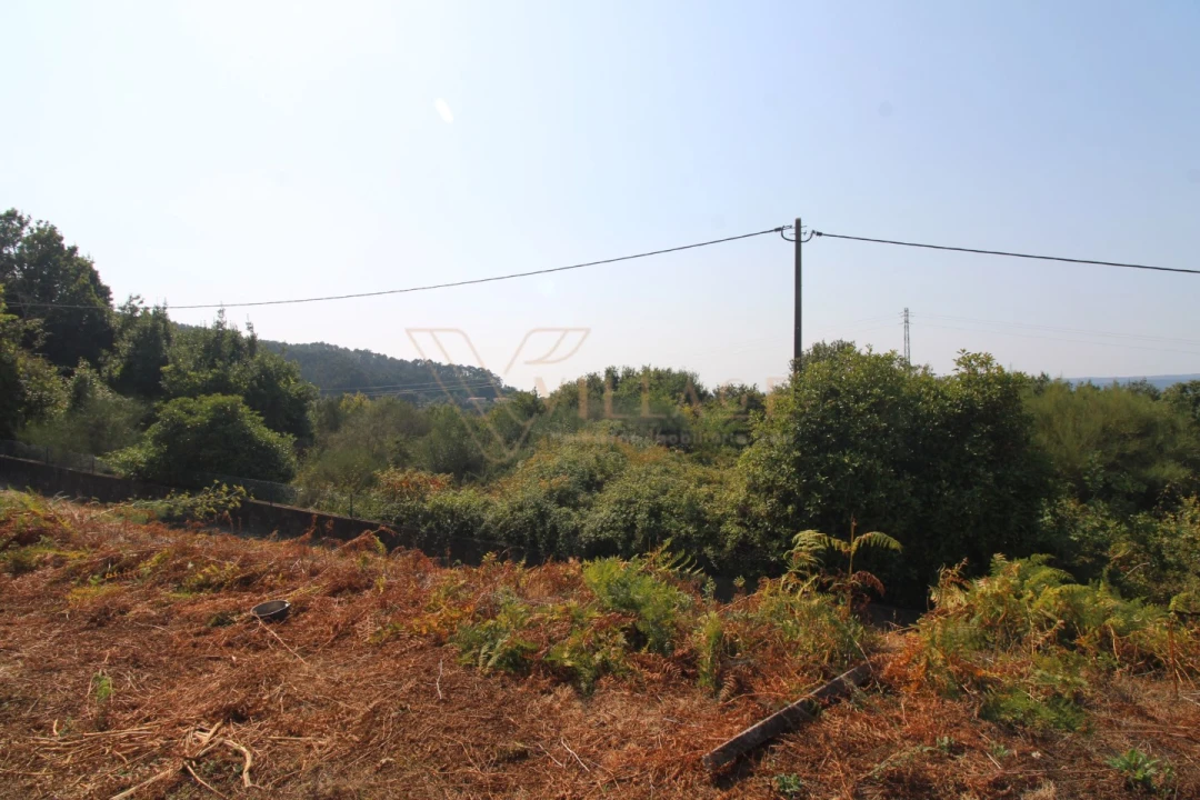 Terreno para Venda em Gondarem Foto 6
