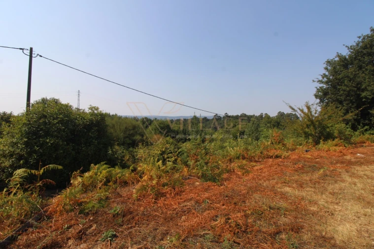 Terreno para Venda em Gondarem Foto 5