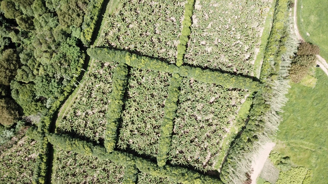 Terreno para Venda em Vila Franca do Campo (São Miguel) Foto 19