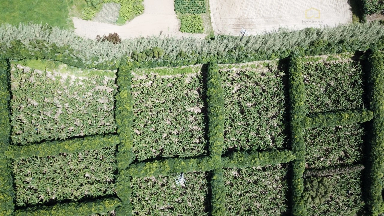 Terreno para Venda em Vila Franca do Campo (São Miguel) Foto 20